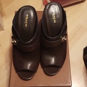 Coach orchid semi matte calf, 8M